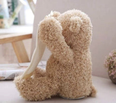 Plišana Igračka Medo Skrivalica