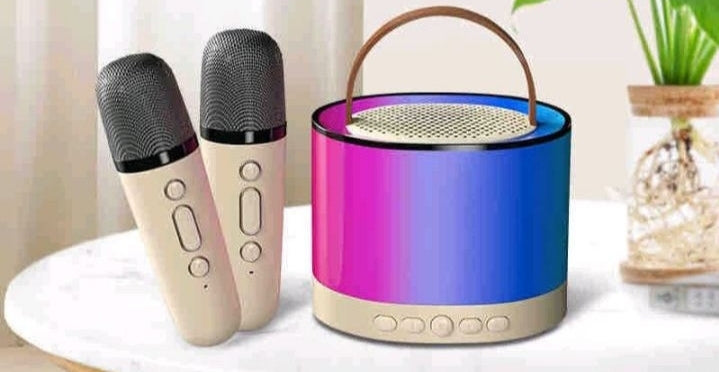 Bluetooth Zvucnik Sa Dva Mikrofona Za Karaoke