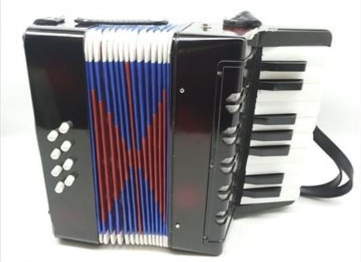 Dječija Harmonika Muzički Instrument Za Djecu Harmonika