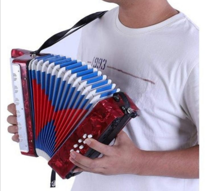 Dječija Harmonika Muzički Instrument Za Djecu Harmonika